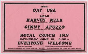 Volante rosa enmarcado con líneas negras. Las palabras gay de EE.UU. aparecen unas líneas abajo, por el centro, animando a la gente a ir a ver la película.