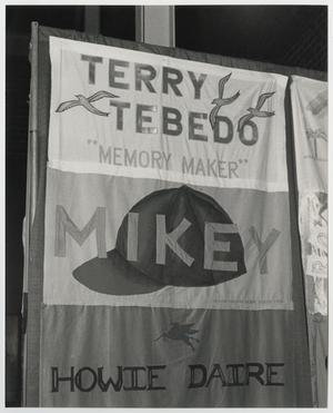 Primary view of object titled '[Terry Tebedo Banner]'.