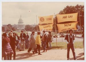 Primary view of object titled '[Young People at Lesbian and Gay Rights Rally in D.C.]'.
