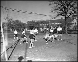 Primary view of object titled '[Photograph of Women Playing Volleyball]'.