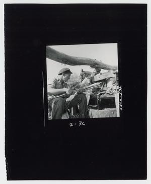 Primary view of object titled '[Grinding Sorghum Cane]'.