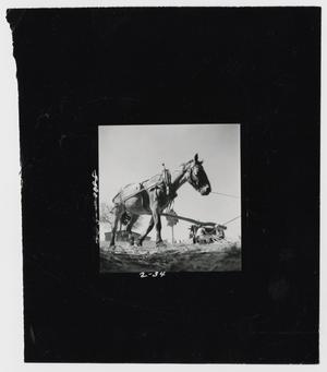 Primary view of object titled '[Mule Power]'.