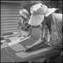 Thumbnail image of item number 1 in: '[Women at an outdoor quilting bee]'.