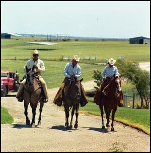 3 men in white shirts and cowboy hat ride brown horses on a thin dirt road, a truck following behind them.