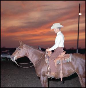 Primary view of object titled '[Man and horse at sunset]'.