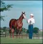Thumbnail image of item number 1 in: '[Chip Knost with a Horse]'.