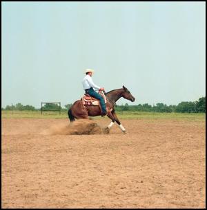 A man in jeans and a cowboy hat rides a dark brown horse. Dust is being kicked under the horses feet. The field they are on is made completely of dirt.