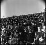 Primary view of [AFROTC members at Homecoming Game, November 5, 1966]