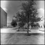 Photograph: [Willis Library and Administration Building from the southeast, 3]