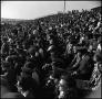 Photograph: [AFROTC members at Homecoming Game, November 5, 1966]