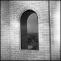 Photograph: [Exterior view of a fourth-floor window at Willis Library]