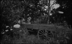 Primary view of object titled '[Old Wagon]'.