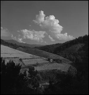 Primary view of object titled '[Farm on the hill]'.
