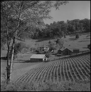 Primary view of object titled '[Hillside crops]'.