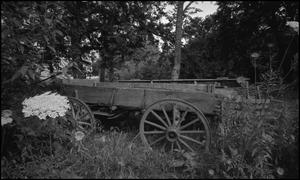 Primary view of object titled '[Old wagon]'.