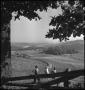 Thumbnail image of item number 1 in: '[Students walking along corn field]'.