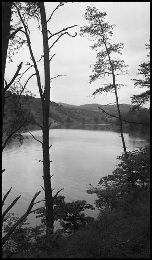 Primary view of object titled '[Portrait of a lake]'.