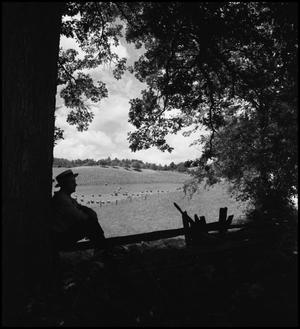Primary view of object titled '[Looking over a Days work in the Shade of a Tree]'.