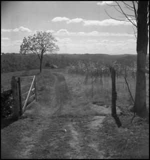 Primary view of object titled '[Gate to the Homestead]'.
