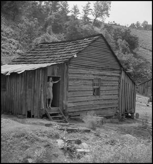 Primary view of object titled '[Cabin in the Hills of Tennessee]'.