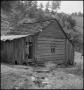Thumbnail image of item number 1 in: '[Cabin in the Hills of Tennessee]'.