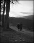 Photograph: [Couple walking Down a Lane]