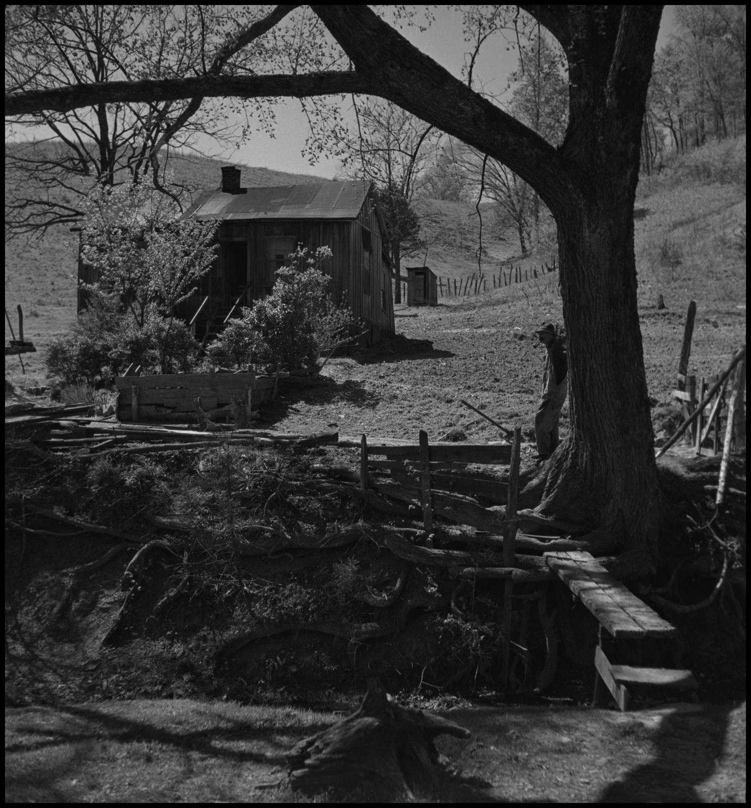[Farm house scene], Photograph of a man leaning against a tree. The tree is on the bank of a small creek. There is a make shift bridge crossing the creek. There is a farm house as well as an outhouse in the background of the photograph., 