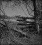 Photograph: [Aging wood fence]