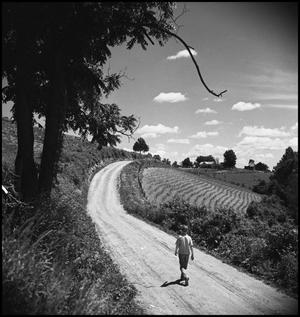 Primary view of object titled '[Walking down a road]'.