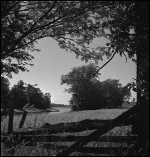 Primary view of object titled '[Fence scene]'.
