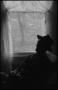 Photograph: [Pappy by the window]