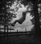 Photograph: [Girl on Swing]
