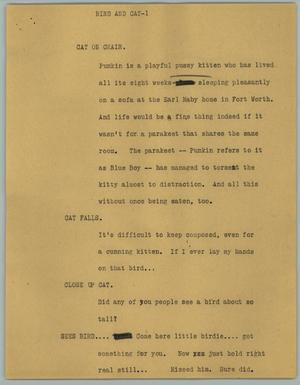 Primary view of object titled '[News Script: Bird and Cat]'.