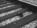 Primary view of [News Clip: Railroad Worker Killed by Train]