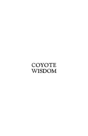 Primary view of object titled 'Coyote Wisdom'.