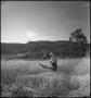 Photograph: [A man using a grain cradle in a wheat field]
