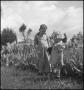 Thumbnail image of item number 1 in: '[Photograph of two children standing in a garden]'.