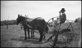 Photograph: [Two horses pulling a plow]