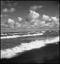 Photograph: [Photograph of the ocean from the beach]