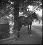 Photograph: [Douglas holding onto a horse]