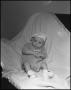 Photograph: [Portrait of a baby sitting on a blanket]