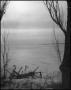 Photograph: [View of the water between a copse of trees]