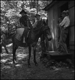 Primary view of object titled '[Boy getting off of a mule]'.