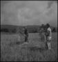 Photograph: [Two farmers harvesting wheat, 3]