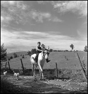 Primary view of object titled '[Boy riding a donkey down a trail, 2]'.