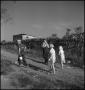 Photograph: [Boys and girls walking along a country road(3)]