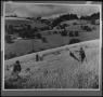 Photograph: [Photographic print of farmers in a field, 3]