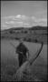 Photograph: [Removing wheat from a scythe]
