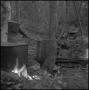 Photograph: [Moonshine distillery in a forest, 5]