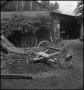 Photograph: [Unfinished wagon in a yard]